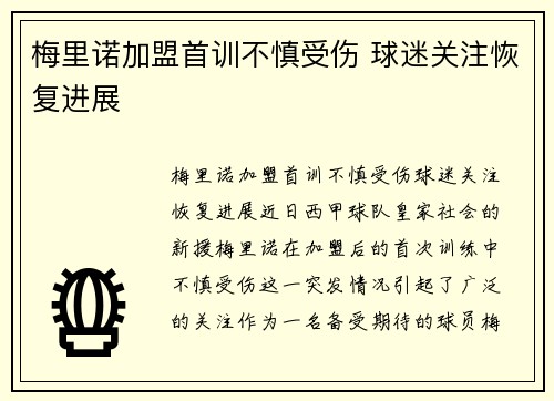 梅里诺加盟首训不慎受伤 球迷关注恢复进展